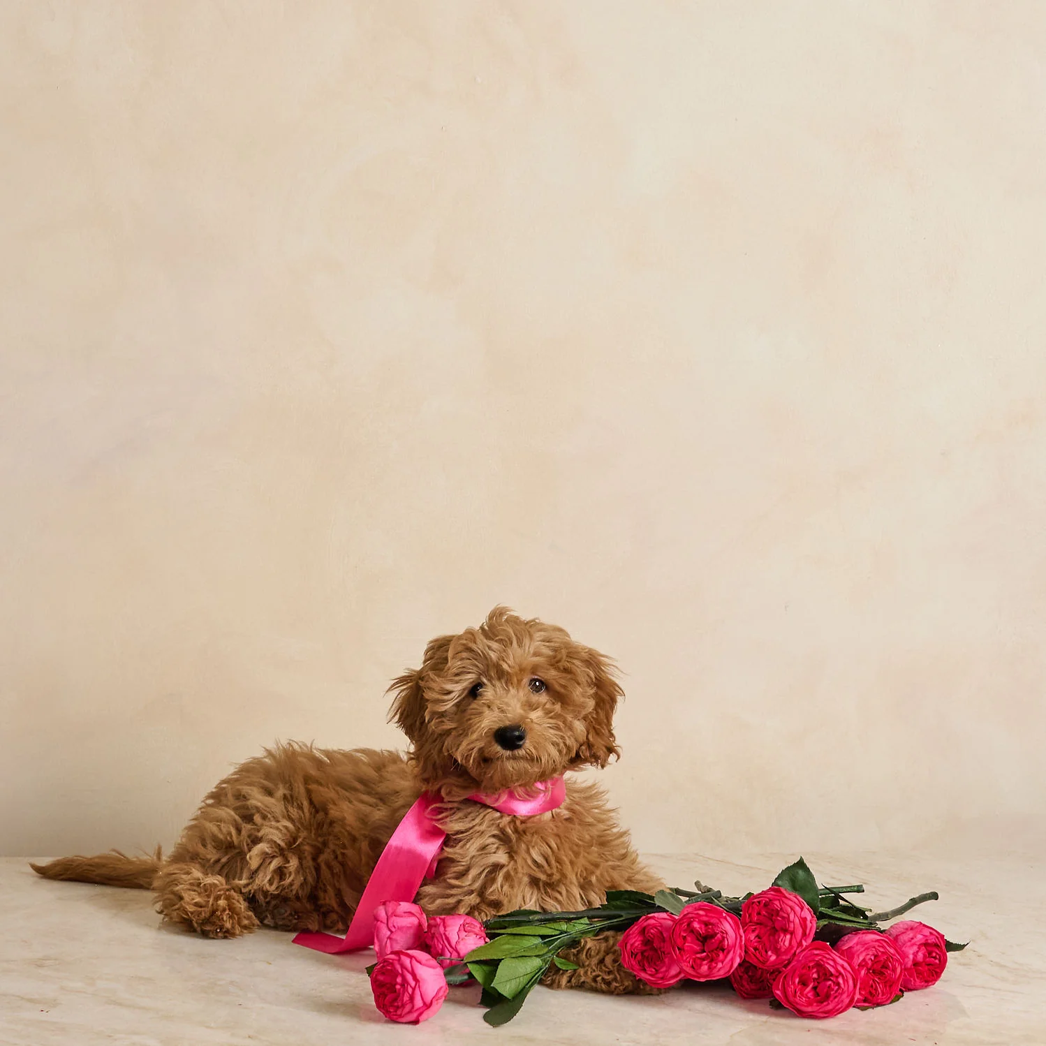 Everlasting Blooms for Your Home
